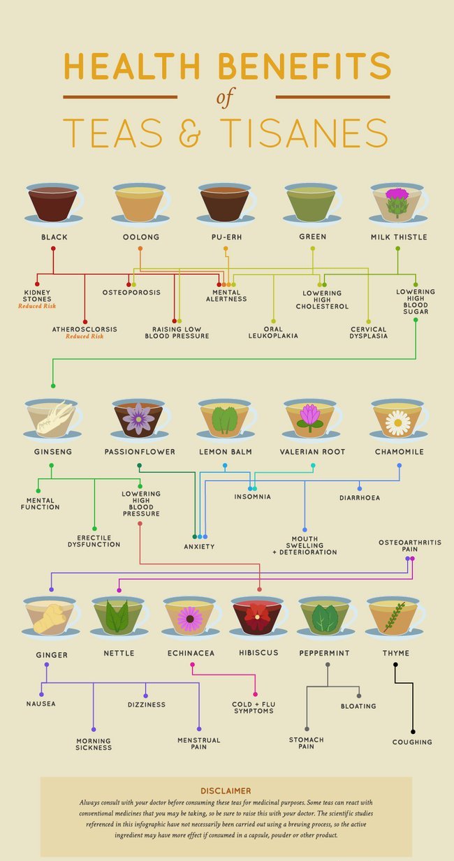 tea benefits infographic