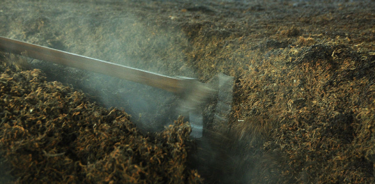 wo dui wet storage pu erh tea