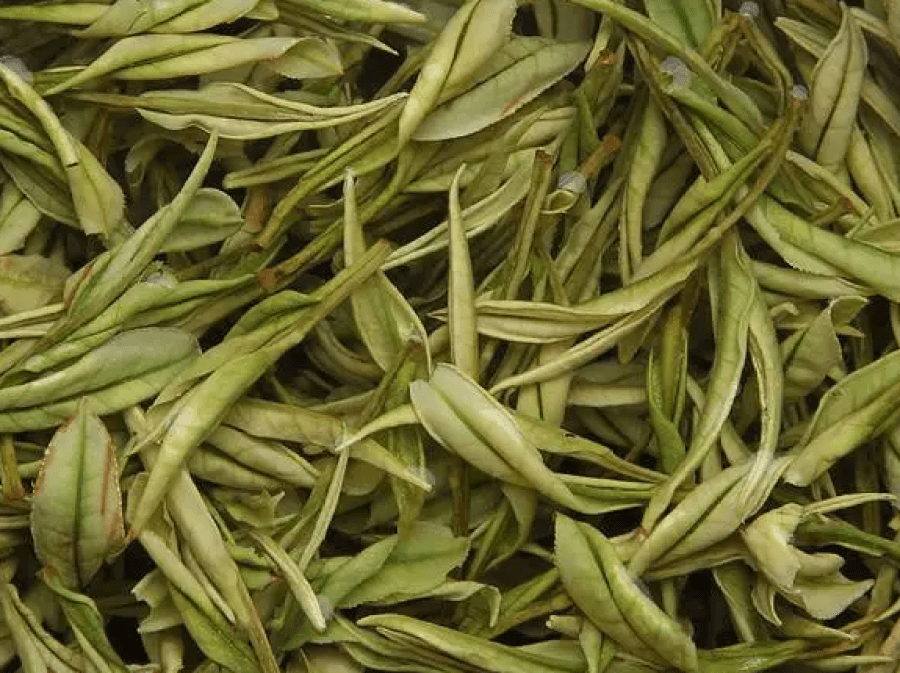 Brewed tea leaves